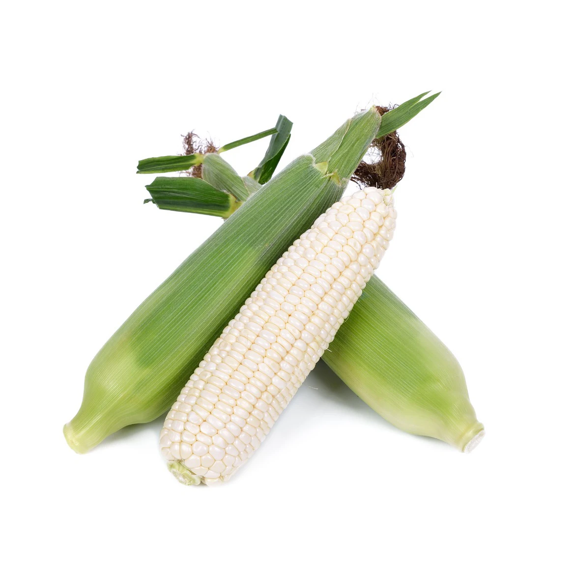 WHITE MAIZE / CORN WHITE MAIZE/CORN