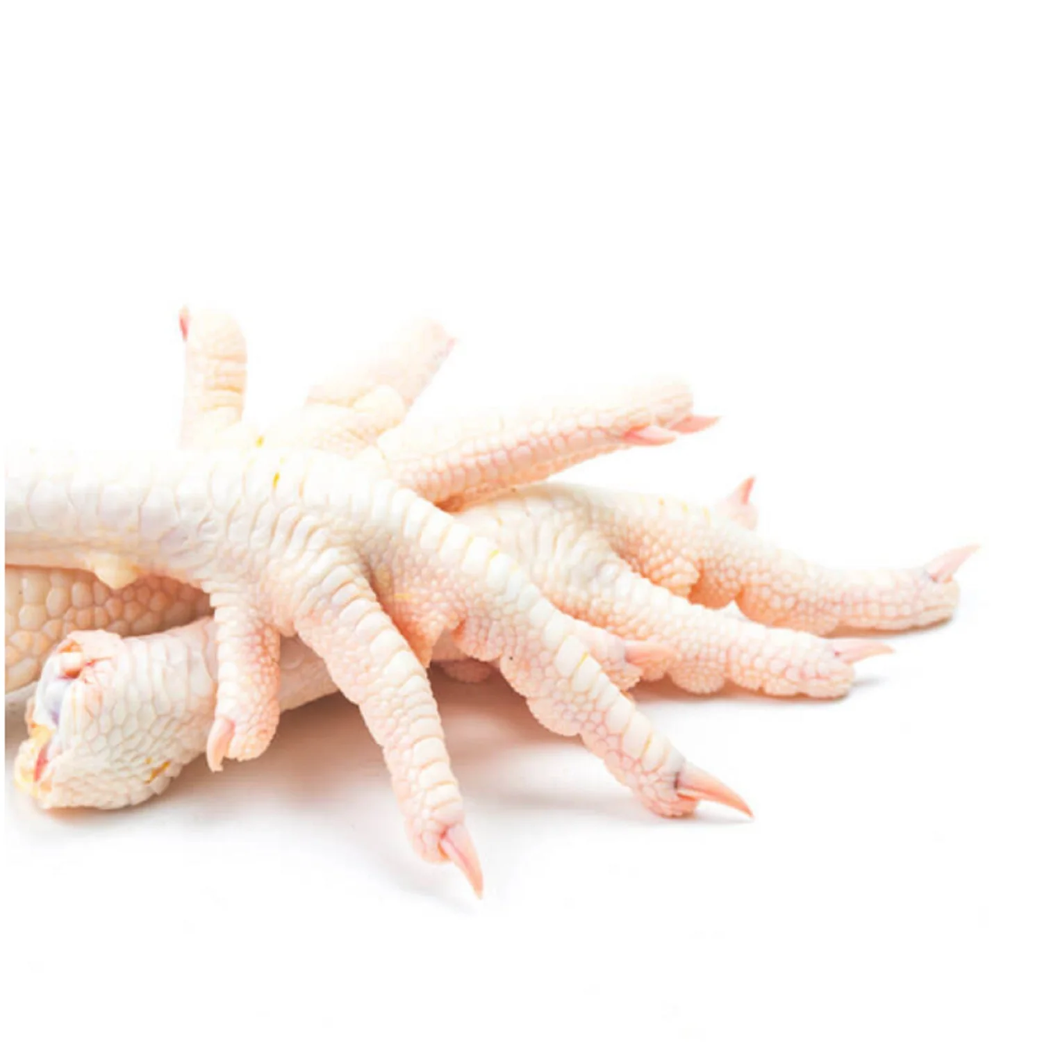 Fresh Chicken Frozen Chicken paws For Good Price Export Frozen Chicken Feet