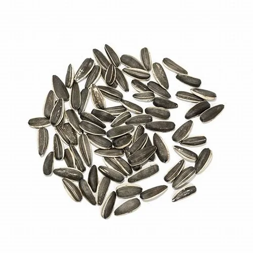 Premium Factory Supplier Wholesale Sunflower Seed 361 Sunflower Seeds Fresh Sunflower Seeds