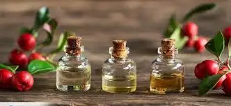 Wholesale High Quality and Reasonable Price Natural Wintergreen Essential Oil