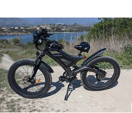 clean Light Bee X Off Road 60V 5000W Full Suspension Sport Mountain E Bicycle Electric Bike Motorcycle Dirt