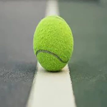 China factory price Professional Manufacturer OEM Head Quality Custom paddle Padel tennis balls  with customized logo