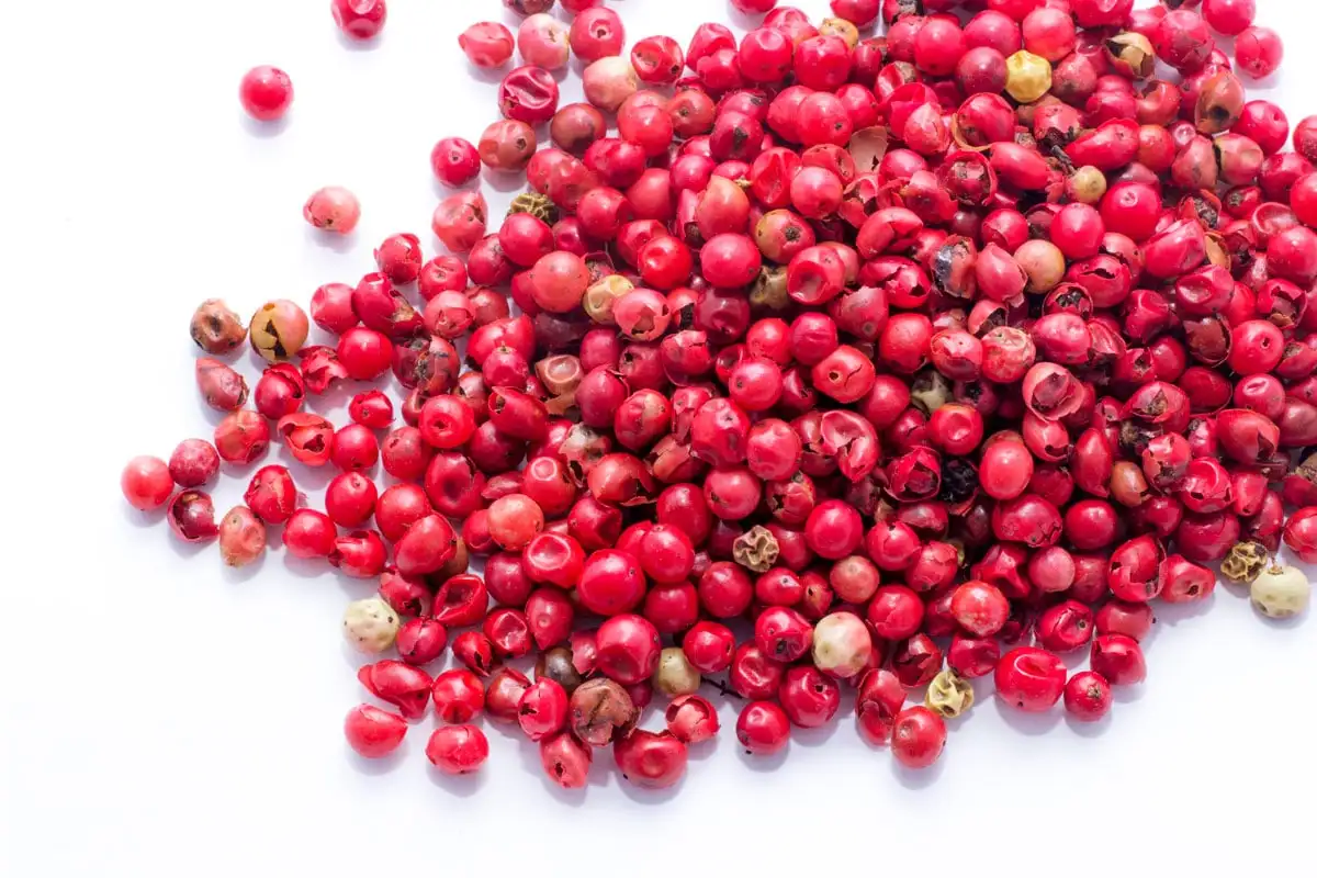 Wholesales new arrival spices 2023 New crop top quality whole pink pepper round  pink peppercorn dried pink peppercorns