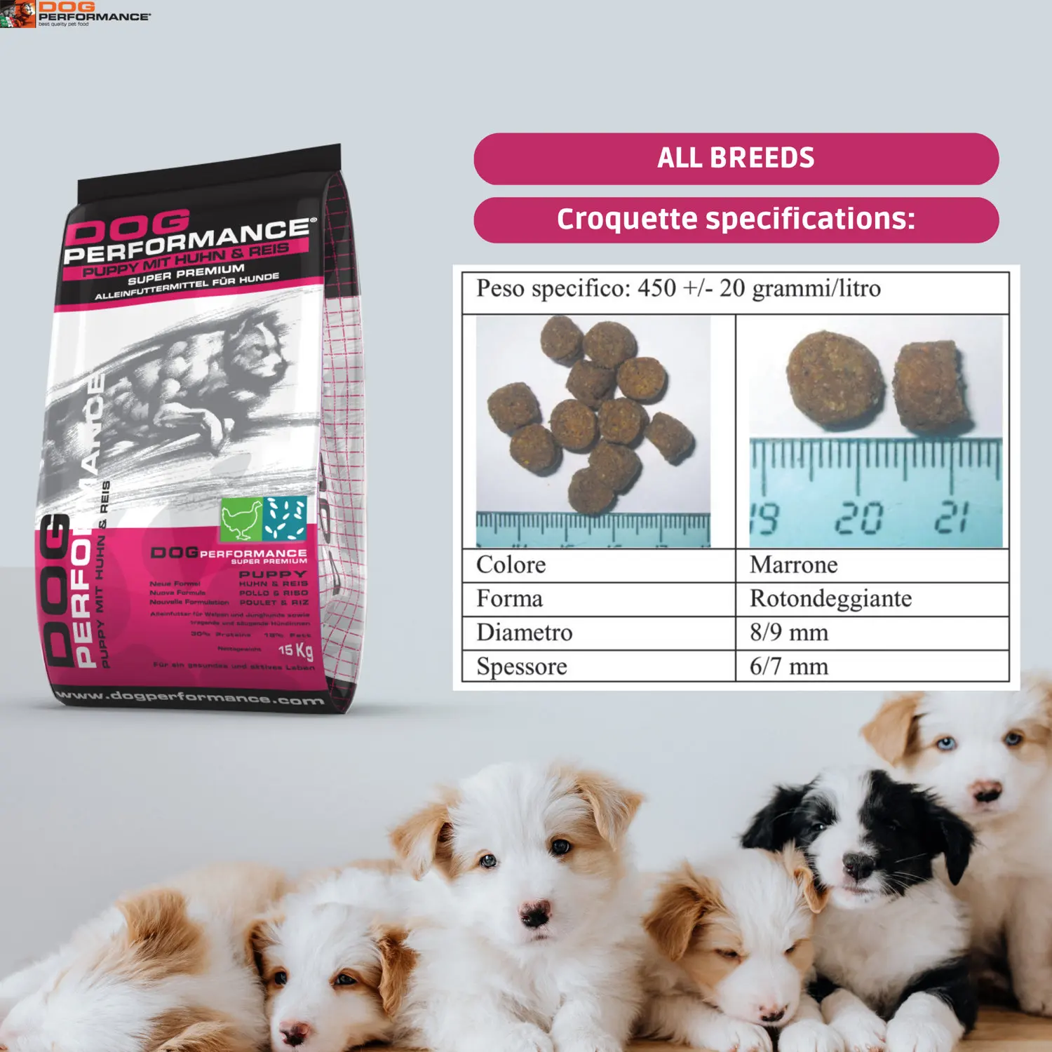 High Quality 3kg Chicken and Rice Dry Food Healthy Compact Puppy Meal for Medium and Large Breeds for Fish and Cats