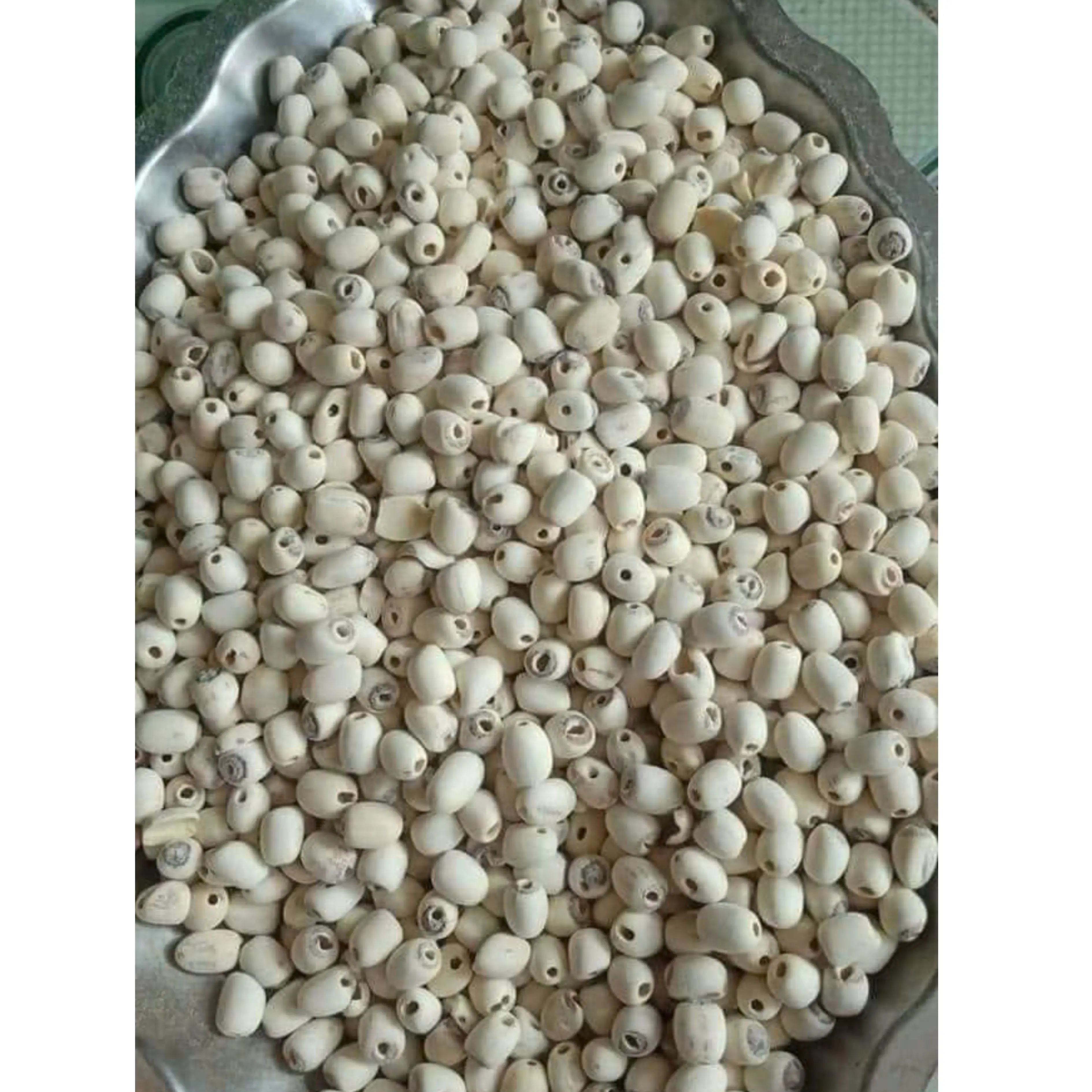 Premium Dried Lotus Seed Snacks from Vietnam Healthy Ready To Eat Vietnam Origin/ LOTUS SEEDS +84 783 612 648 Jasmine
