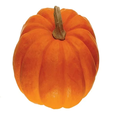 ORGAINIC FRESH PUMPKIN BEST SALES