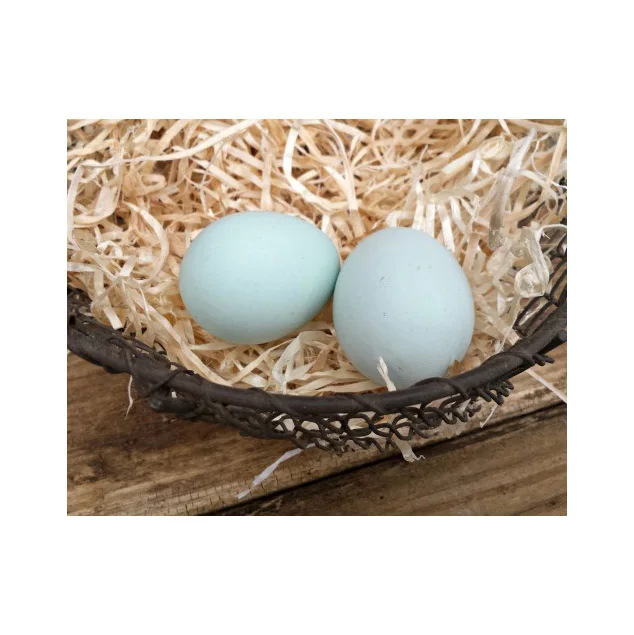 Farm Fresh Chicken Table Eggs / White Supplier of Fresh Protein Rich Farm Chicken Eggs Fresh Table Eggs White Farm