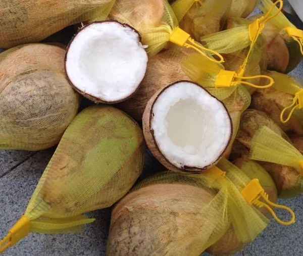 VIETNAMESE MACAPUNO COCONUT PURE NATURAL FROM VIET NAM ORGANIC COCONUT READY TO SHIP