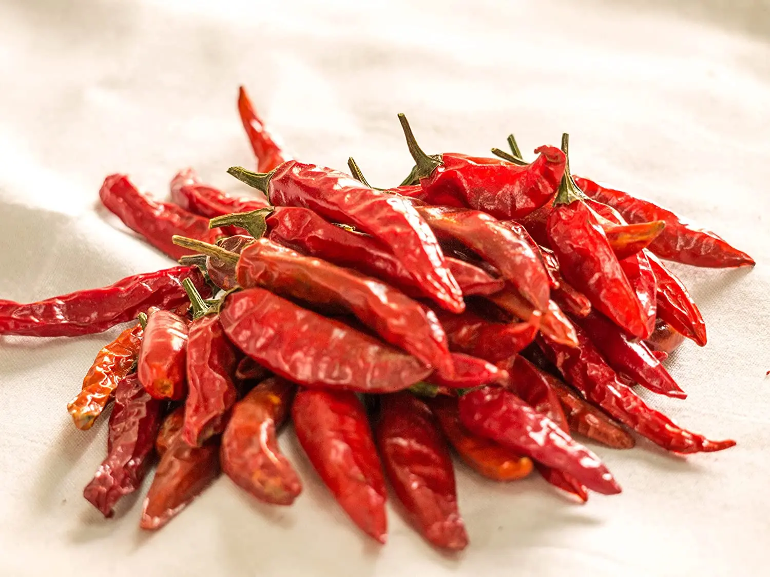 wholesale dried chilies dry red chilli pepper made in Viet Nam