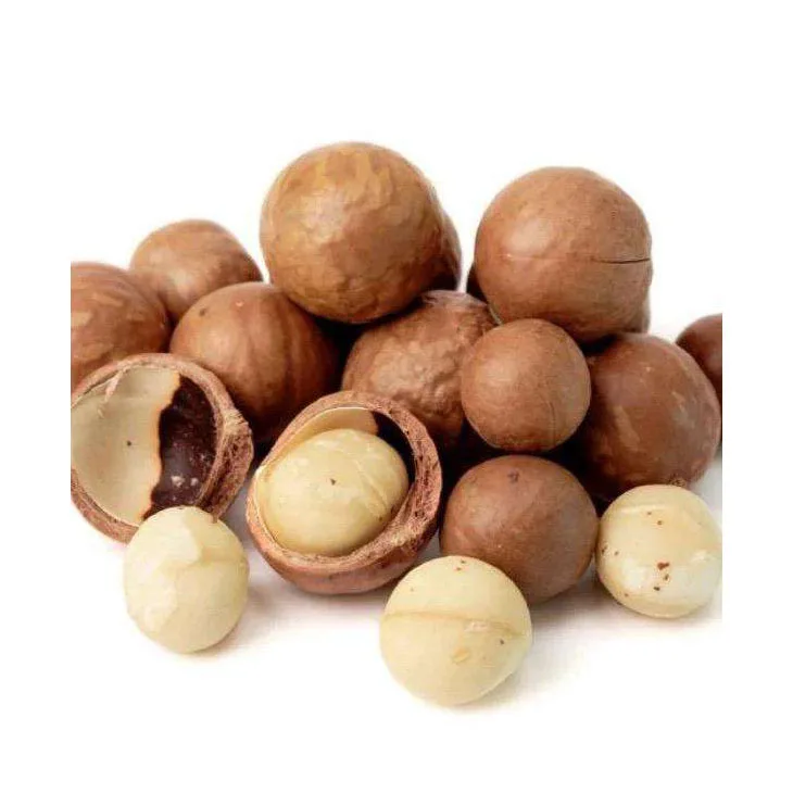 Best price Macadamia Without shell roasted double halves with Medium Size Manufacturing Wholesale Grade A Macca Nuts