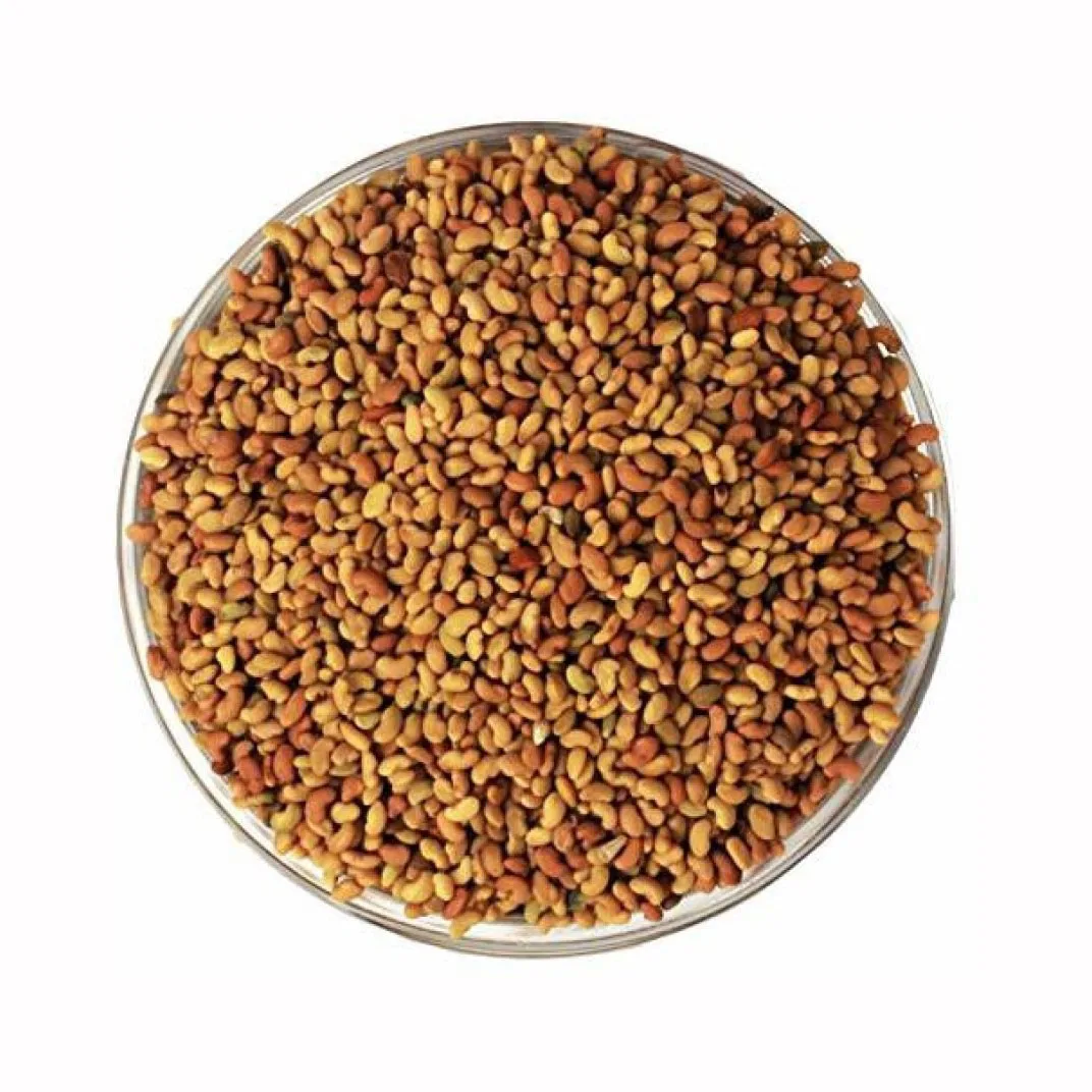 Organic Alfalfa Seeds for Sprouting Non GMO Sproutable - by Food To Live