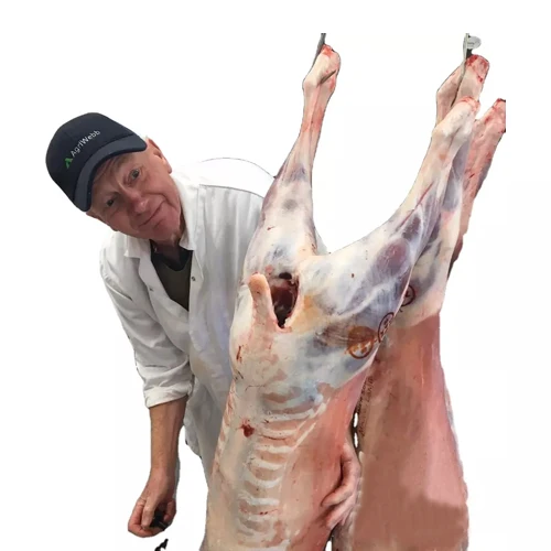 Halal Sheep Fresh Chilled Meat Fresh/chilled frozen whole lamb carcass mutton carcass and sheep meat