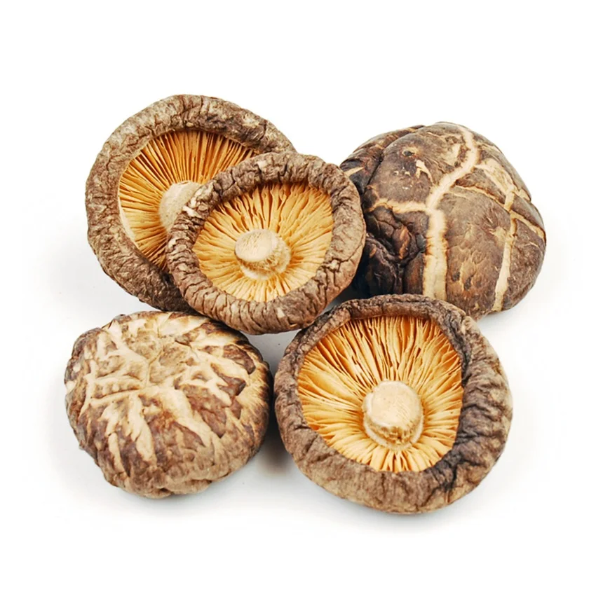Натуральные сушеные грибы высушенные сухие Shiitake