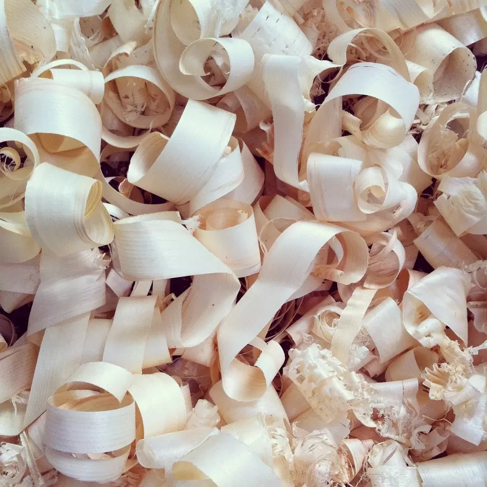Wood Shavings.png