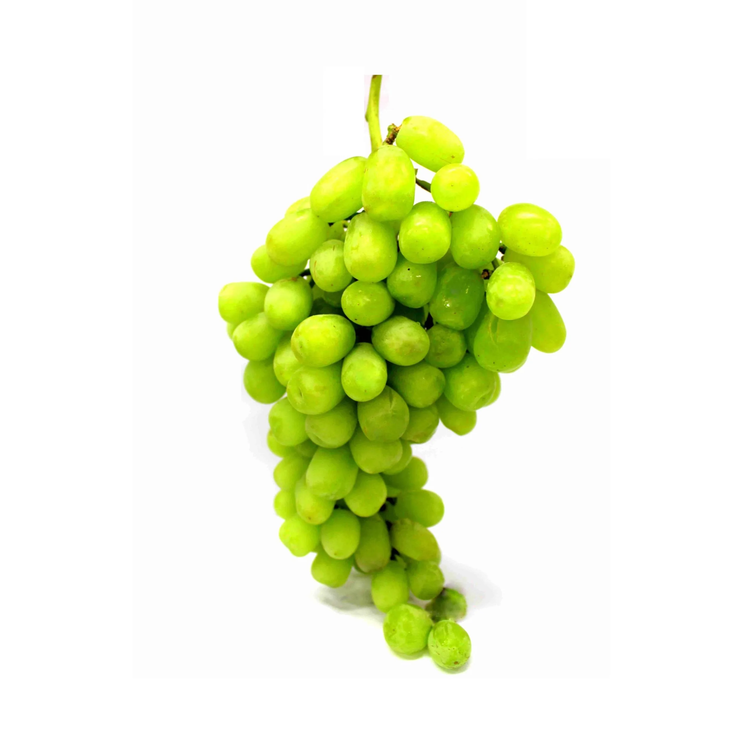High Sweet Fresh Shine Muscat Grapes Natural Seedless Green Grapes with Rich Vitamins Produced in AUSTRIA