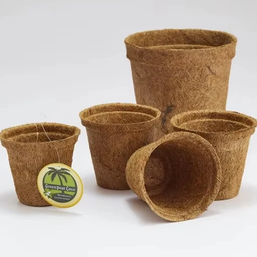 Coir pots eco-friendly and sustainable used in greenhouses and plant nurseries ultimately designed for floriculture