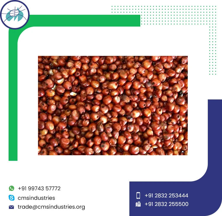 Sale on Most Demanded Quality Red Sorghum
