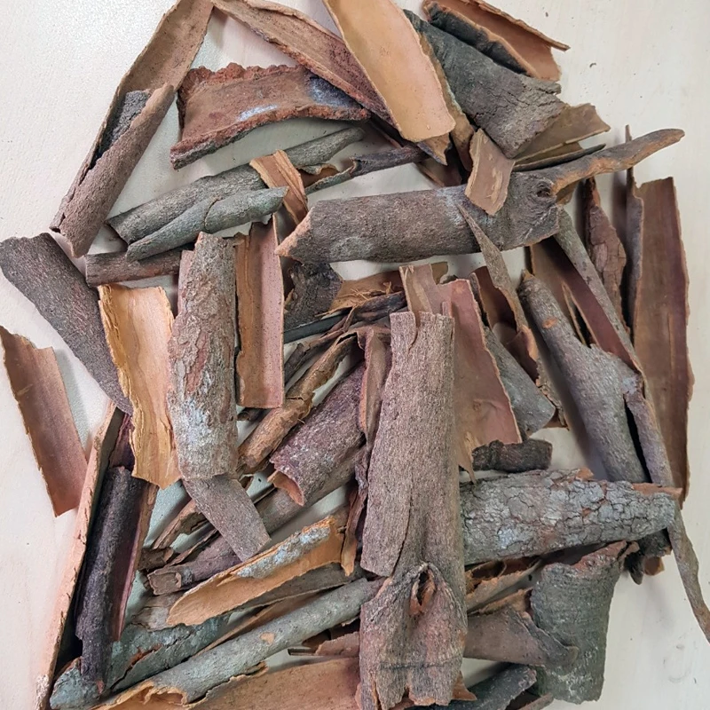 High quality cheap price of cassia broken/ broken cassia with skin for wholesale from Vietnam