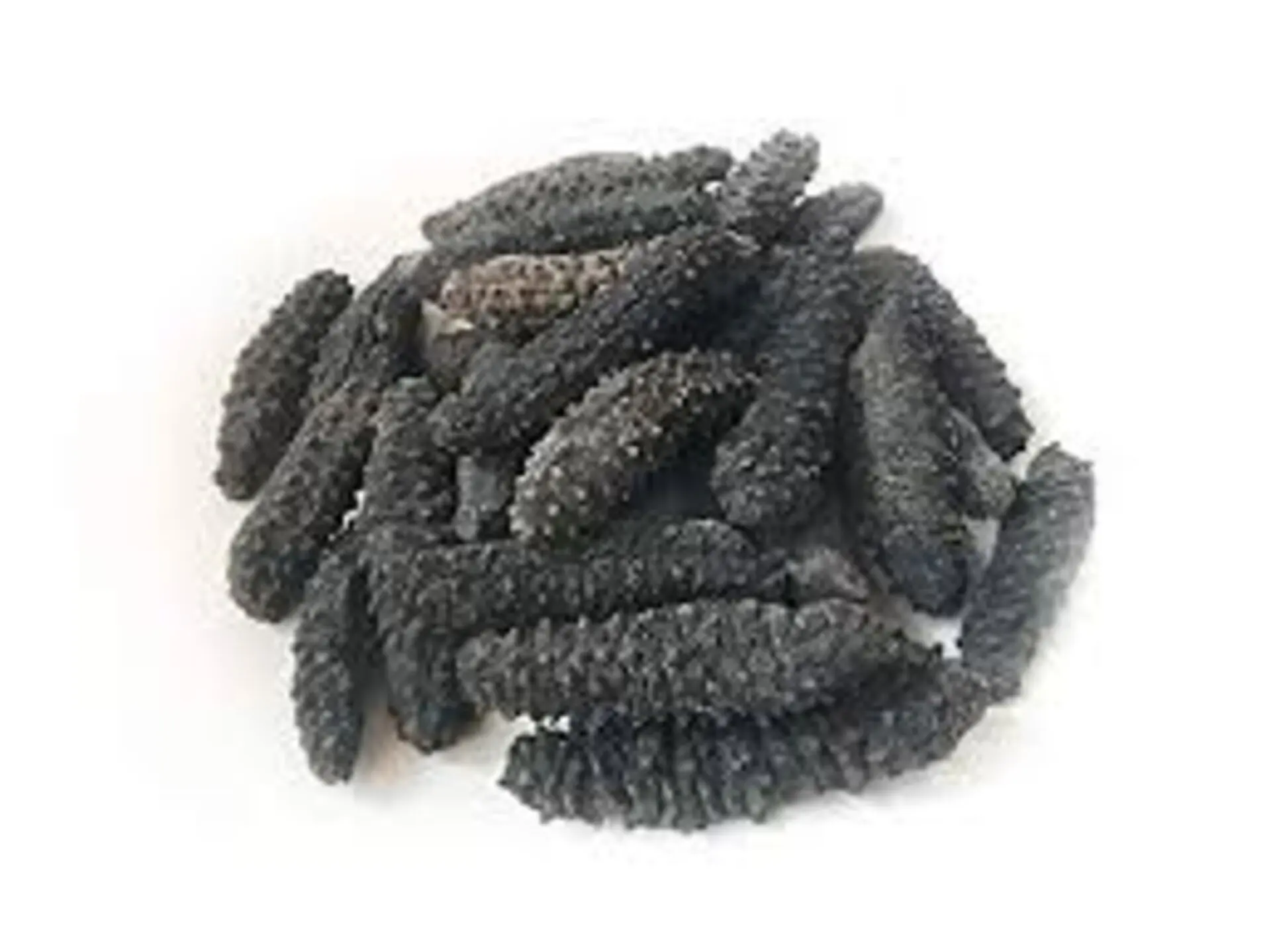 Alaska Wild Caught Sun Dried Red Sea Cucumber Medium Size (1 LB) / Dried Sea Cucumber (Liao Cen)