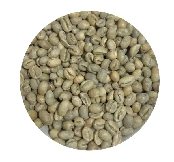 Top Grade Dried Organic Arabica Coffee Beans at Wholesale Price