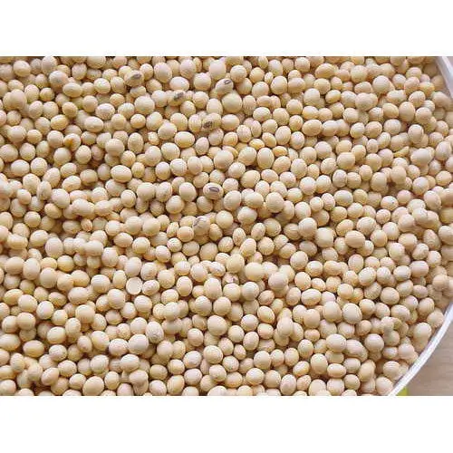 Wholesale Best Quality 50kg Bag Sprouting and Food Grade Dry Yellow Soybean Seed Non Gmo Soybeans