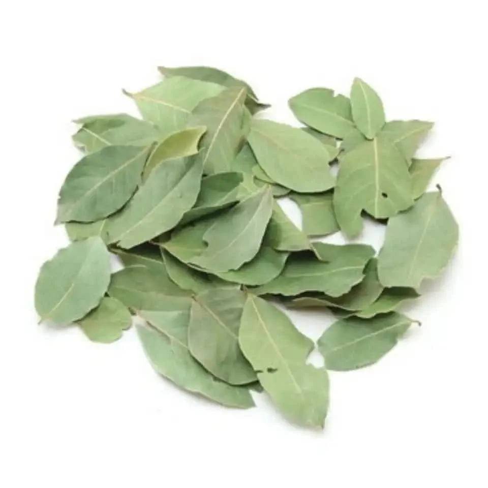 Bay Leaves for Sale in Bulk