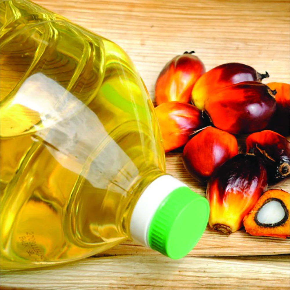 Оптовый Поставщик пальмового олеина RBD-пальмовое масло 100% рафинированное готовые к экспорту