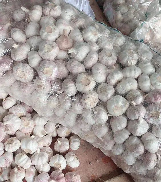 Low Price Fresh Garlic White Bag Crop Style Time June Food Newest Color Package Weight Normal Net Origin Type egyptian