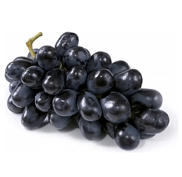 Fresh Top Quality seedless grape in cartoon and plastic wholesale best price healthy fruit sweet juicy
