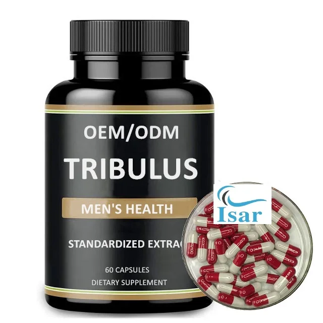 Hot Sale Tribulus Terrestris extract Capsules Tribulus Terrestris Capsules With Customized Packing from India