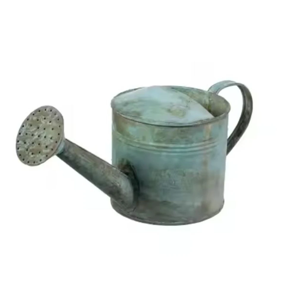 Galvanized Flower Watering Can Admirable Design Custom Shape And Size Water Can Container For Garden Suppliers