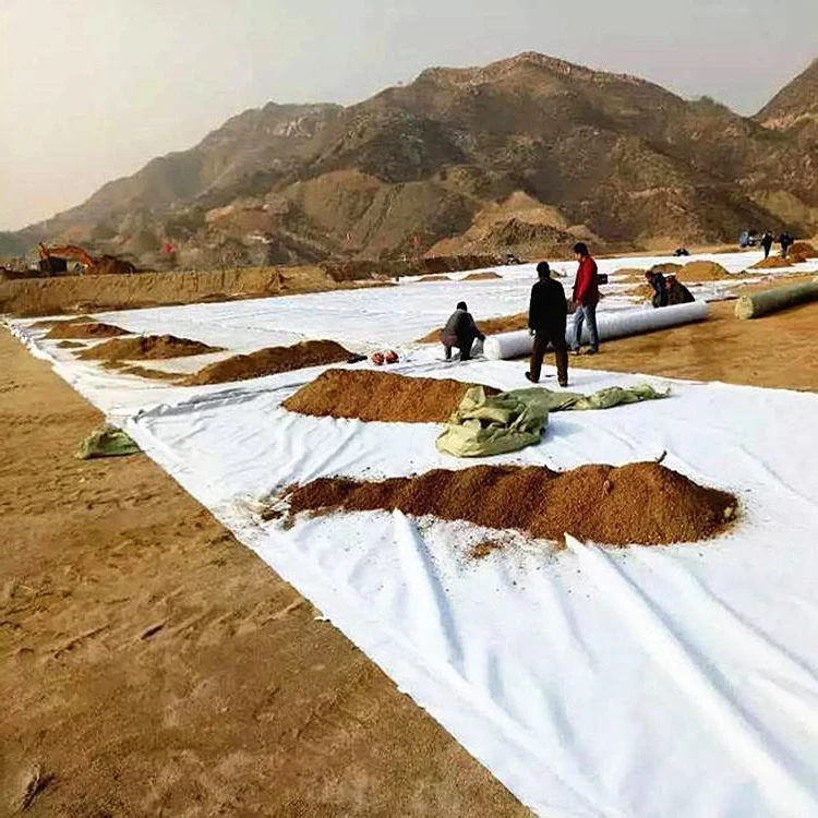 wholesale waterproofing geotextile membrane nonwoven fabric rolls 700gsm geotextile dam projectfor landslide