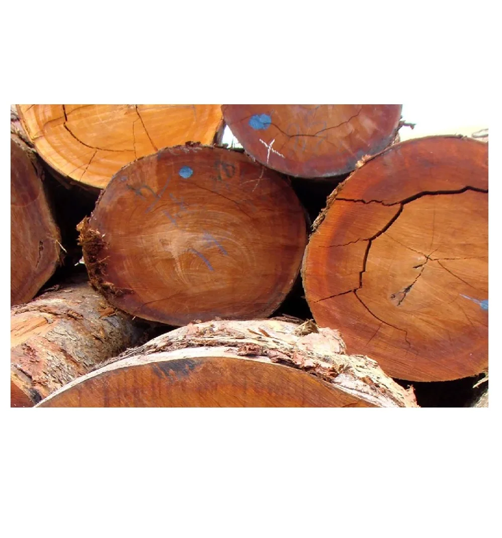 Купить бревна бубинга оптом сэкономить деньги и получить высококачественную древесину для мебели строительных проектов