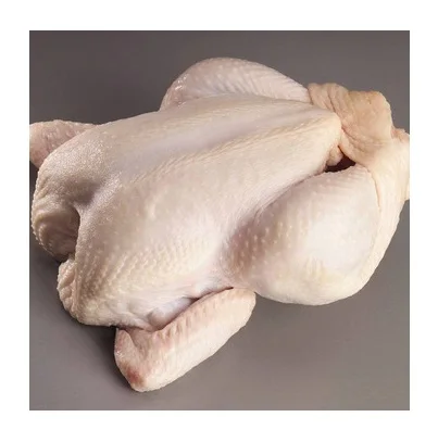 High Quality Wholesale Cheap Price Frozen IQF / BQF Whole Chicken For Sale