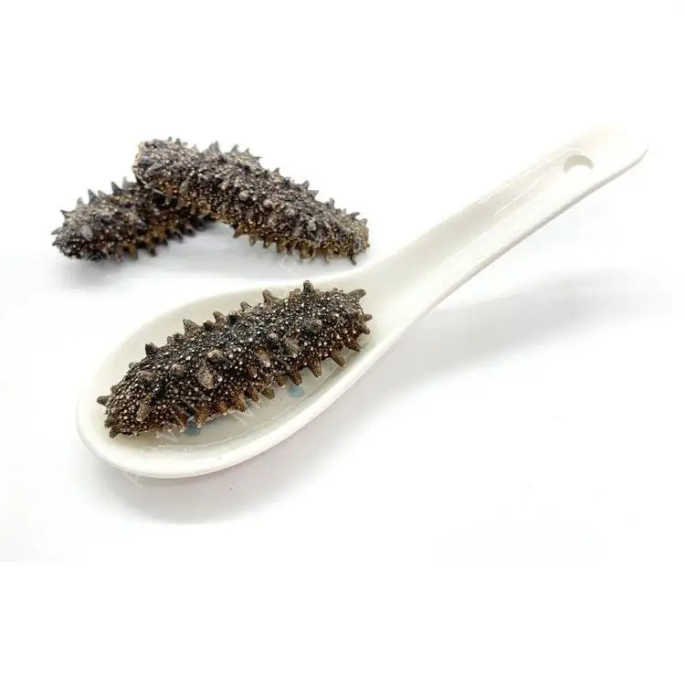 Wholesaler Sea Cucumber Dried and Frozen Sea Cucumber, Natural for sale