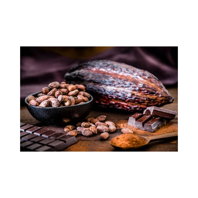 Best Quality Cocoa Beans For Sale In Cheap Price Wholesale Cocoa Beans