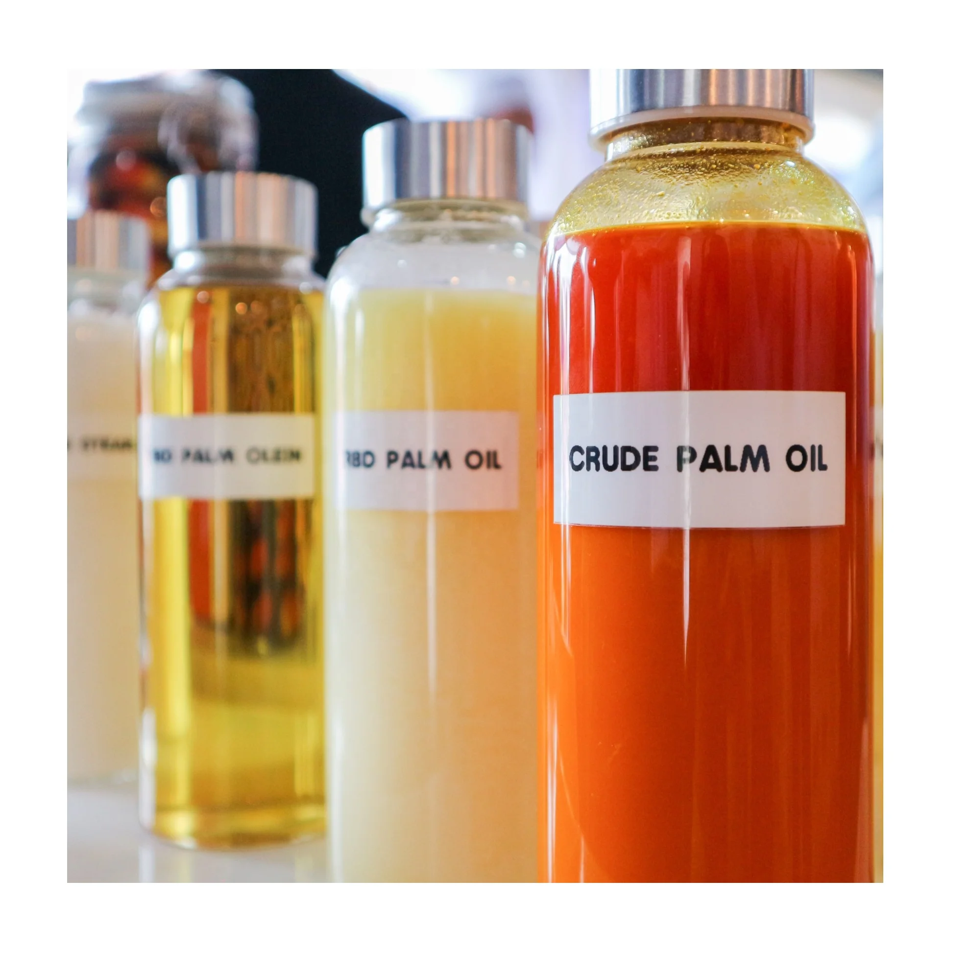 Refined Palm oil for sale Crude palm oil for sale, Palm Cooking oil wholesale supplier