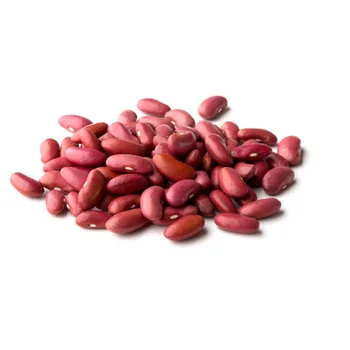 Kidney Beans available for sale at best price