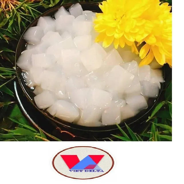 Hot Selling Nata de coco In Syrup Made In Vietnam/Pudding Coconut Jelly/Ms. Lima (+84) 346565938