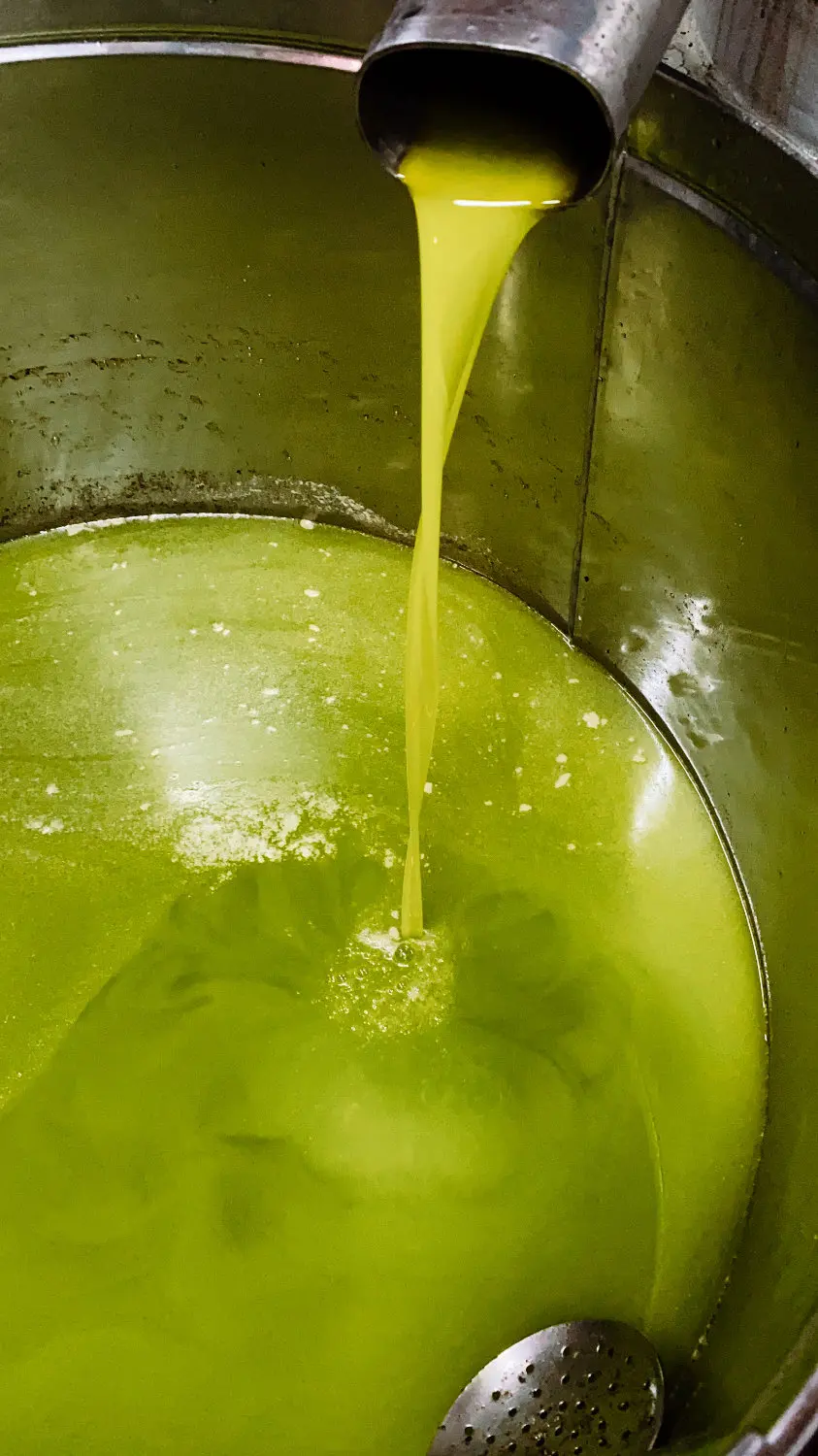 Italian Cold Pressed Extra Virgin Olive Oil 500ml from Sicily Ideal for Fish and Cereal Soups
