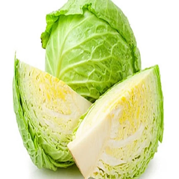 Hot Sale - Fresh Round Cabbage with CE HACCP Certificate - High Quality Natural Cabbage for EU