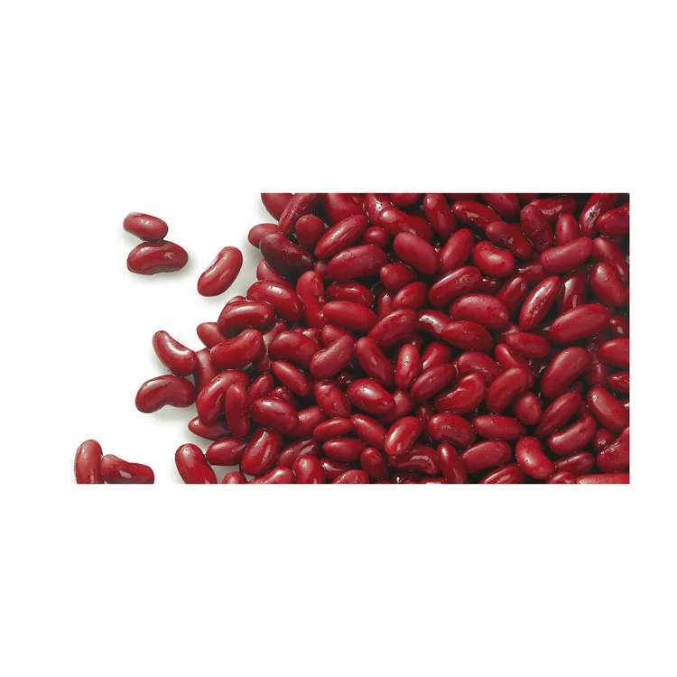Wholesale Supplier Best Quality Black kidney Beans For Sale In Cheap Price Best Quality Red kidney Beans For Sale In Cheap Price