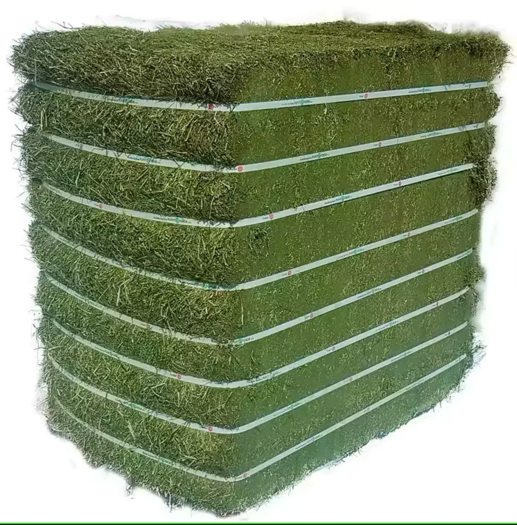 PREMIUM ALFALFA HAY FOR LIVESTOCK