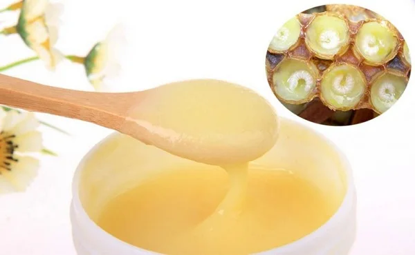 Tasabee Royal Jelly Factory Supplier Bee Products Healthcare Vietnam Pure 10-hda 1.8 Organic Fresh Royal Jelly