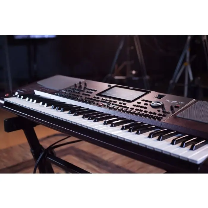 korg_pa.jpg
