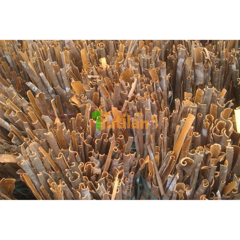 Planting Quality Assurance Dried Cinnamon Factory Wholesale Price Cassia Cinnamon Stick