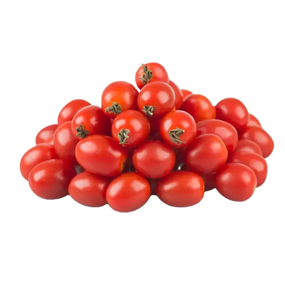 High Quality Cheap Priced Organic Fresh Beef Tomato, Cherry Tomato, Fresh Plum Tomatoes