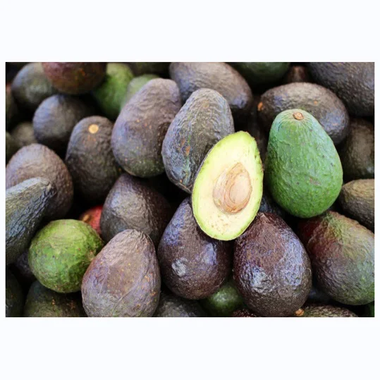 BEST ORGANIC FRESH AVOCADO FRUIT/ HASS AVOCADO ON SALE Premium Quality Fresh Avocado  Exporter AT WHOLESALE