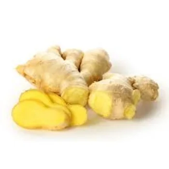 Ginger Fresh Vegetables Style Organic Weight Origin Type Variety ISO Place Model Cultivation