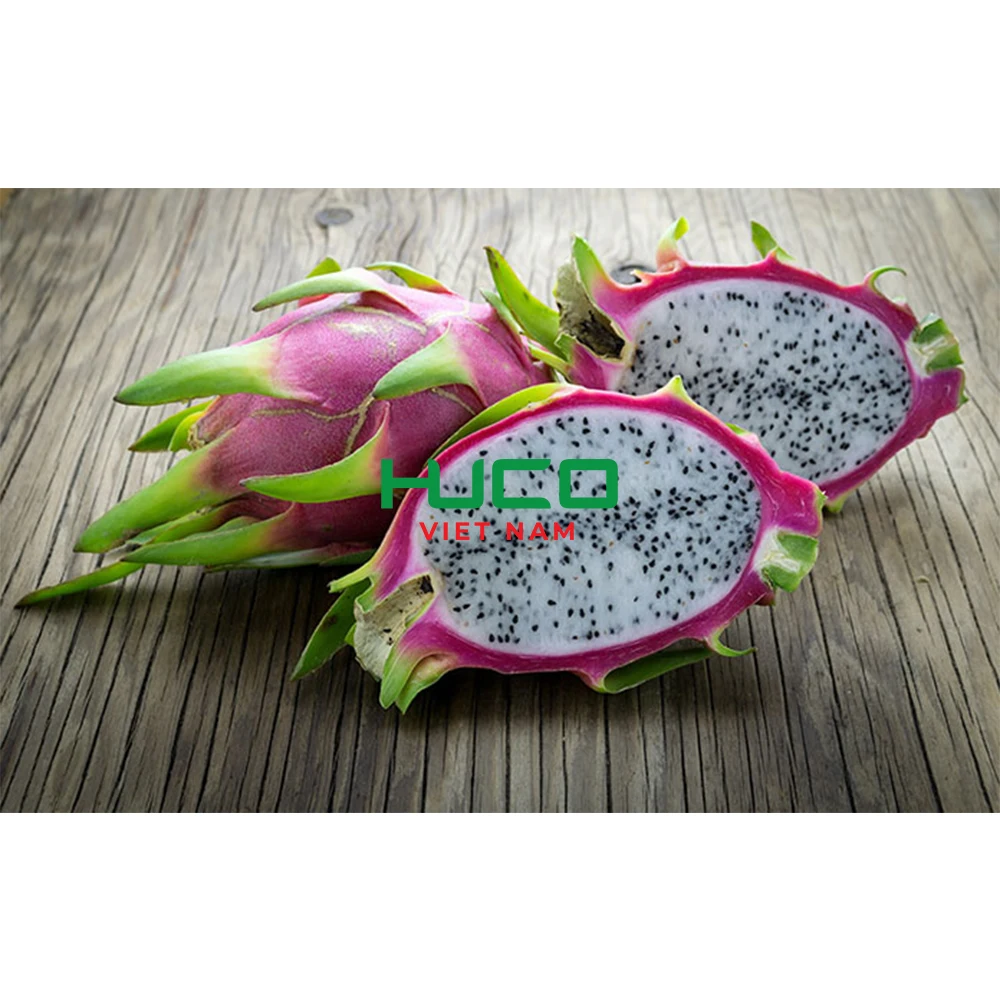 Very Cheap Price Dragon Fruit/ Wholesale Pitaya Fruit Vietnam/ Fresh Dragon Fruit